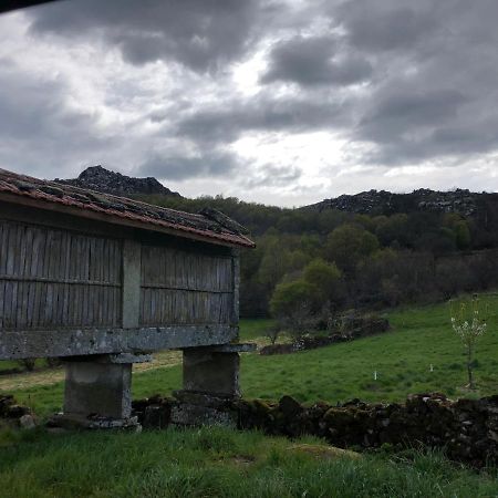 A Casa Do Chico Διαμέρισμα Ουρένσε Εξωτερικό φωτογραφία